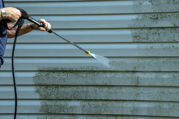 Best Roof Pressure Washing  in Ivey, GA